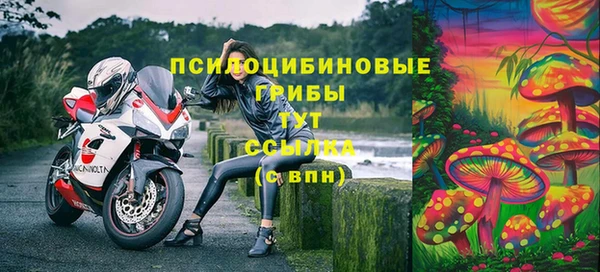 спайс Кодинск