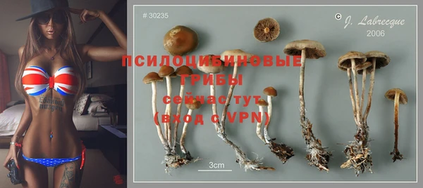 спайс Кодинск
