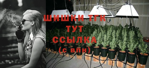 спайс Кодинск