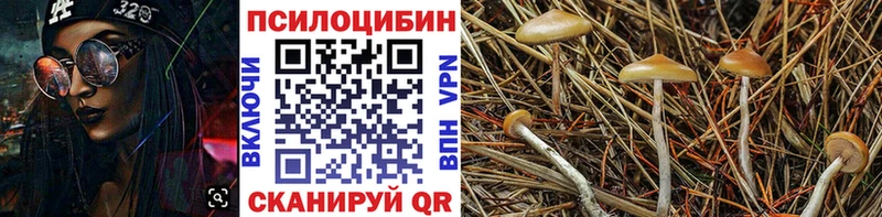 Галлюциногенные грибы мицелий  Купить  Эртиль 